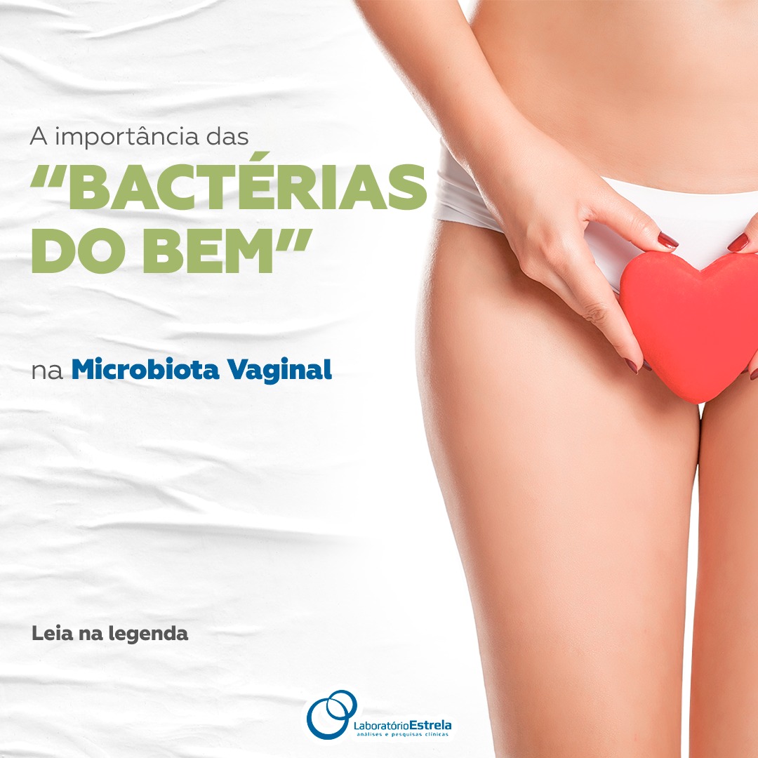 Read more about the article A importância das “bactérias do bem” na microbiota vaginal
