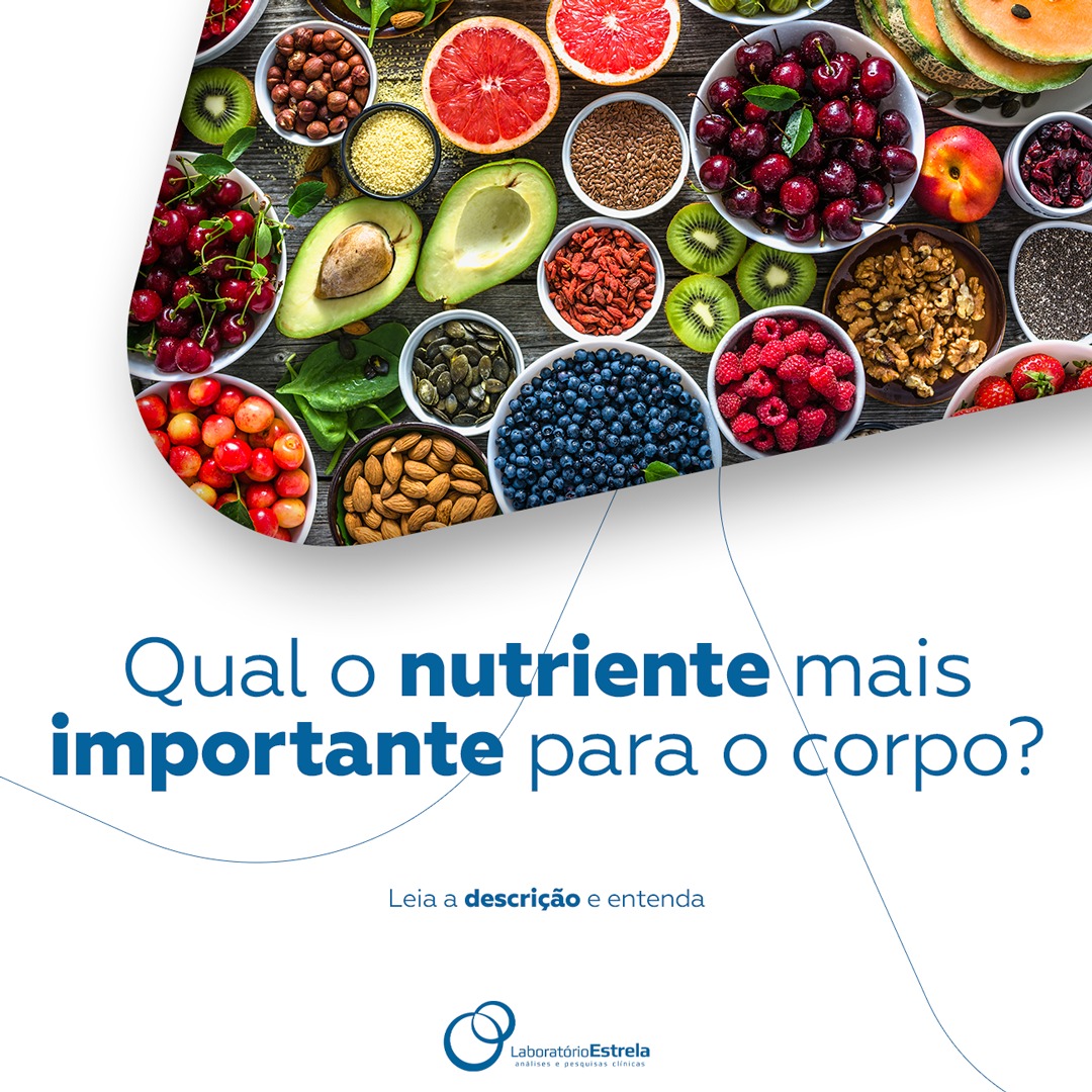 Leia mais sobre o artigo Você sabe qual é o nutriente mais importante para o seu corpo?